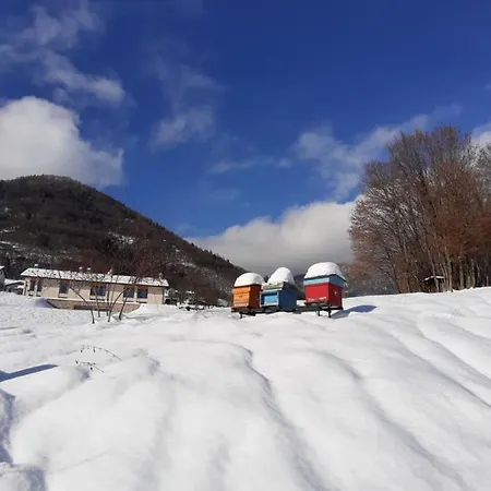 La Casa Di Maia - Agrituristico 페다베나