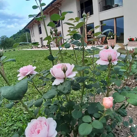 La Casa Di Maia - Agrituristico 팜스테이