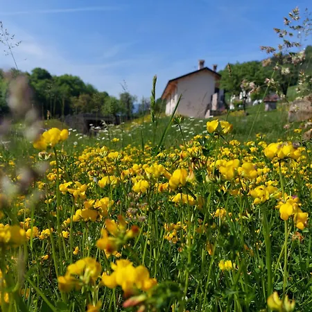 La Casa Di Maia - Agrituristico * 페다베나