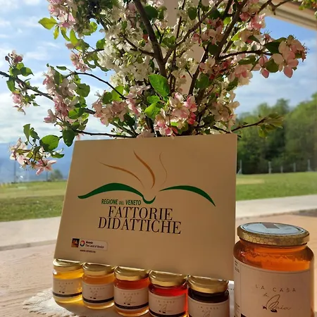 La Casa Di Maia - Agrituristico 팜스테이