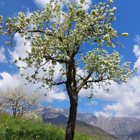 La Casa Di Maia - Agrituristico