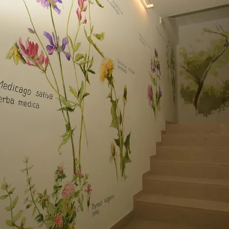 La Casa Di Maia - Agrituristico 페다베나