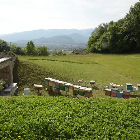 La Casa Di Maia - Agrituristico * 페다베나